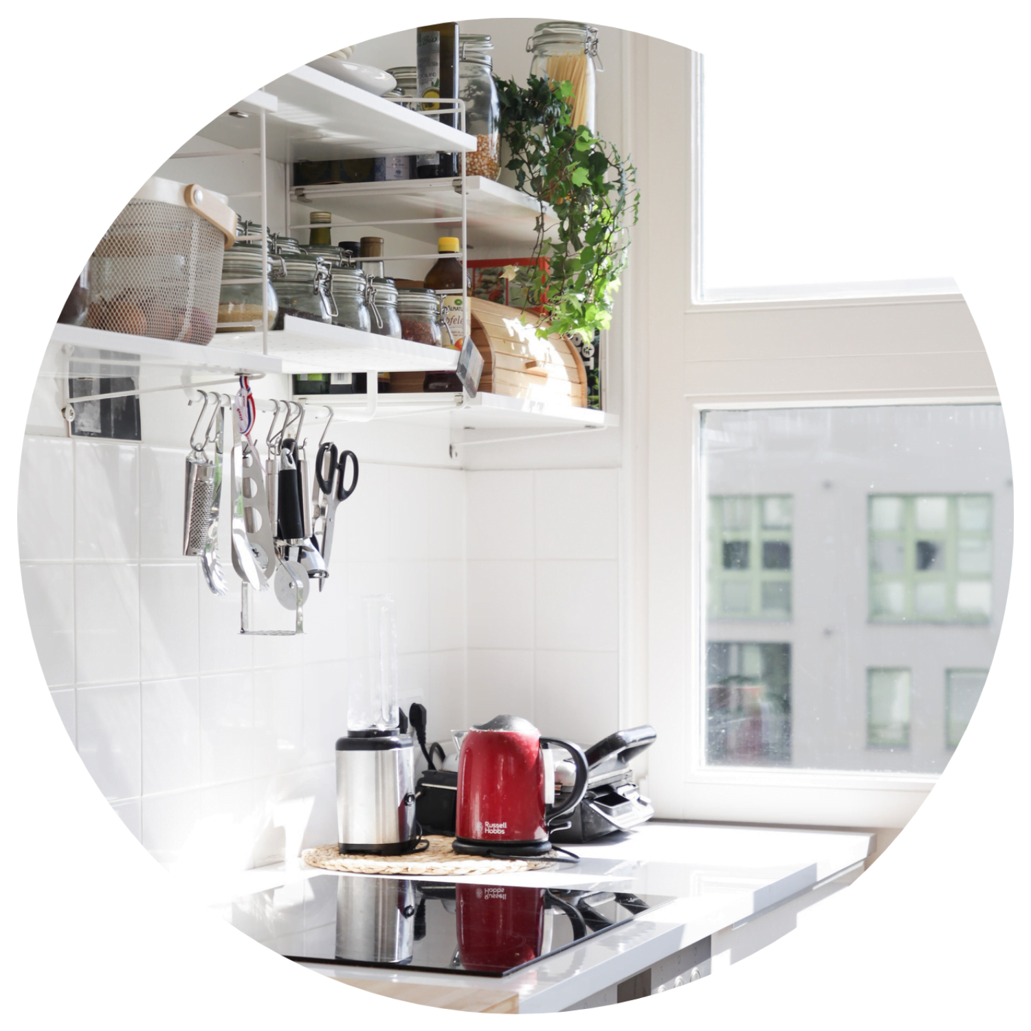 XScale Home 6 Kitchen Items