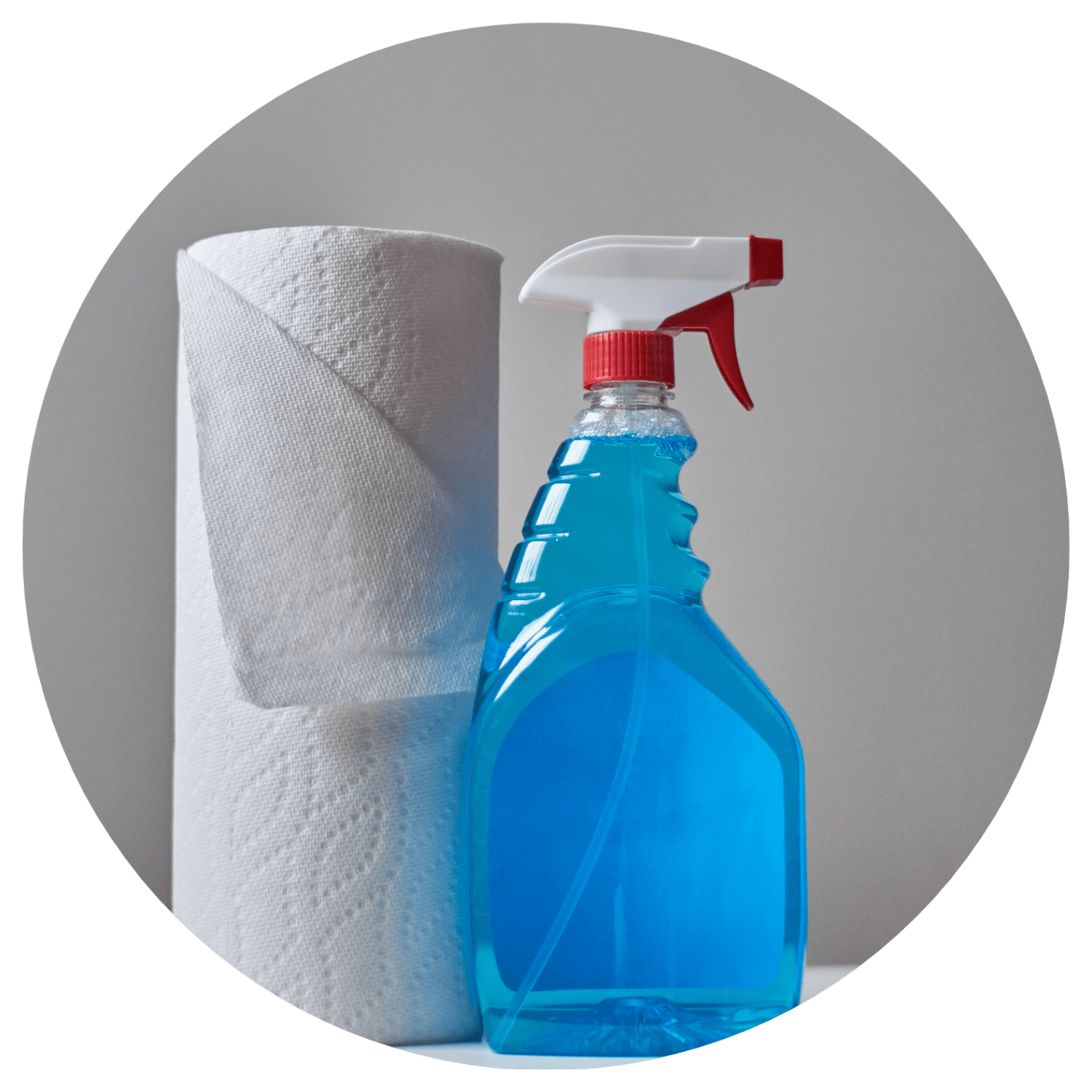 XScale Home 10 Cleaning Items